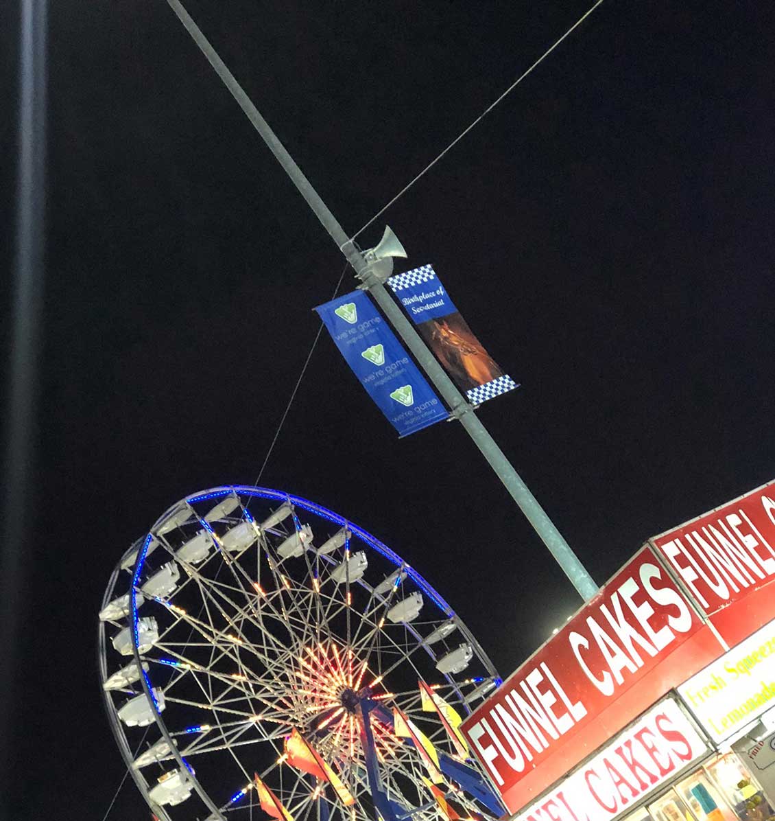 state fair image